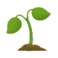 icons8-plant-100